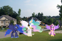 Size: 900x598 | Tagged: safe, artist:90sigma, imported from derpibooru, princess cadance, princess celestia, princess luna, alicorn, pony, alabama, birmingham, crown, female, grin, hoof shoes, irl, jewelry, mare, peytral, photo, ponies in real life, regalia, smiling, spread wings, trio, wings