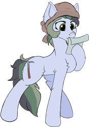 Size: 3417x4871 | Tagged: safe, artist:aquamuro, imported from derpibooru, oc, oc only, oc:dusty soil, earth pony, pony, cute, ear fluff, earth pony oc, female, fluffy, mare, oda 997, paper, raised hoof, reading, simple background, sketch, solo, transparent background