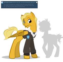 Size: 900x878 | Tagged: safe, artist:askmerriweatherauthor, imported from derpibooru, oc, oc only, oc:meadow lark (ask merriweather), pegasus, pony, bomber jacket, clothes, jacket, older, simple background, solo, white background