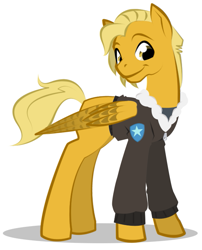 Size: 567x701 | Tagged: safe, artist:askmerriweatherauthor, imported from derpibooru, oc, oc only, oc:meadow lark (ask merriweather), pegasus, pony, bomber jacket, clothes, jacket, older, simple background, solo, white background