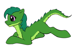 Size: 1024x685 | Tagged: safe, artist:shaliwolf, imported from derpibooru, oc, dracony, dragon, hybrid, raised tail, simple background, solo, tail, transparent background