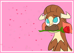 Size: 3500x2500 | Tagged: safe, alternate version, artist:jsacos, imported from derpibooru, cow, them's fightin' herds, blushing, community related, female, flower, flower in mouth, horns, madison (tfh), mouth hold, rose, rose in mouth, solo, textless, valentine's day card