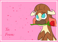 Size: 3500x2500 | Tagged: safe, alternate version, artist:jsacos, imported from derpibooru, cow, them's fightin' herds, blushing, community related, female, flower, flower in mouth, horns, madison (tfh), mouth hold, rose, rose in mouth, solo, text, valentine's day card