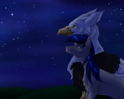 Size: 1280x1024 | Tagged: safe, artist:clouris, imported from derpibooru, oc, oc only, earth pony, griffon, pony, chest fluff, duo, earth pony oc, griffon oc, night, outdoors, smiling, stars