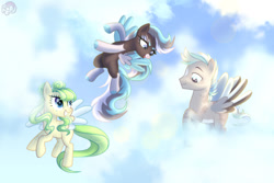 Size: 1280x854 | Tagged: safe, artist:emperor-anri, imported from derpibooru, oc, oc only, pegasus, pony, cloud, coat markings, eyelashes, female, flying, frin, grin, male, mare, pegasus oc, smiling, socks (coat markings), stallion