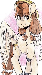 Size: 831x1477 | Tagged: safe, artist:suunn_shine, imported from derpibooru, oc, oc:poffertje, pegasus, mascot, ponycon holland, traditional art