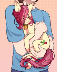 Size: 1200x1500 | Tagged: safe, artist:takic, imported from derpibooru, roseluck, human, pony, behaving like a cat, collar, commission, commissioner:doom9454, cute, duo, eyes closed, holding a pony, pet tag, pony pet, rosepet