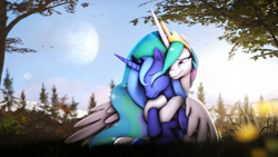 Size: 7680x4320 | Tagged: safe, artist:lagmanor, imported from derpibooru, princess celestia, princess luna, alicorn, pony, 3d, absurd file size, absurd resolution, crown, crying, cute, cutelestia, eyes closed, female, flower, forest, forest background, grass, horn, hug, hug from behind, jewelry, looking at each other, looking at someone, lunabetes, magic, magic horn, moon, not shipping, regalia, reunion, royal sisters, s1 luna, siblings, sisters, sitting, smiling, source filmmaker, sunlight, tears of joy, teary eyes, tree, tree branch, wholesome