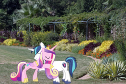 Size: 1000x662 | Tagged: safe, artist:90sigma, artist:jaredking779, imported from derpibooru, princess cadance, shining armor, alicorn, pony, unicorn, atlanta, crown, female, garden, georgia, hug, irl, jewelry, male, mare, photo, ponies in real life, regalia, shiningcadance, shipping, stallion, straight