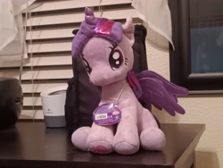 Size: 4608x3456 | Tagged: safe, imported from derpibooru, twilight sparkle, alicorn, irl, photo, plushie, solo, twilight sparkle (alicorn)