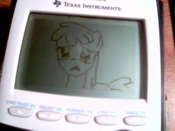 Size: 640x480 | Tagged: safe, artist:gigglesplat, imported from derpibooru, berry punch, berryshine, earth pony, the super speedy cider squeezy 6000, calculator, female, graphing calculator, irl, mare, photo, reddit, sad, solo, table, texas instruments