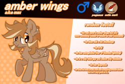Size: 640x432 | Tagged: safe, artist:foxtrnal, imported from derpibooru, oc, oc only, oc:amber wings, oc:max, pegasus, abstract background, astraphobia, cutie mark, dyspraxia, fluffy, freckles, male, pegasopolis, pegasus oc, pegasus tribe, reddit, reference sheet, solo, stallion