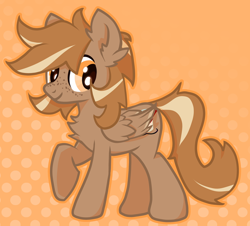 Size: 640x579 | Tagged: safe, artist:foxtrnal, imported from derpibooru, oc, oc only, oc:amber wings, oc:max, pegasus, pony, abstract background, chest fluff, ear fluff, folded wings, freckles, looking at you, male, outline, pegasus oc, raised hoof, smiling, smiling at you, solo, stallion, standing, tail, two toned mane, two toned tail, wings