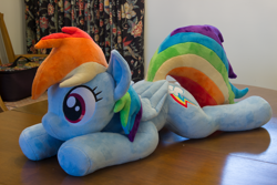 Size: 5184x3456 | Tagged: safe, artist:azgchip, imported from derpibooru, rainbow dash, pegasus, pony, cute, dashabetes, female, folded wings, irl, lying down, mare, photo, plushie, prone, solo, sploot, table, wings