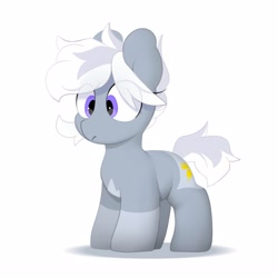 Size: 2500x2500 | Tagged: safe, artist:mochi_nation, imported from derpibooru, oc, oc only, oc:silver bolt, earth pony, pony, coat markings, eye clipping through hair, female, mare, simple background, solo, white background
