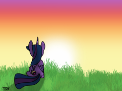 Size: 2160x1620 | Tagged: safe, artist:twidasherboop, imported from derpibooru, oc, oc:midnight moonstar, alicorn, colored wings, gradient wings, signature, sunset, wings