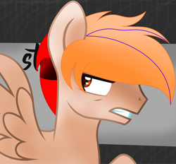 Size: 3247x3014 | Tagged: safe, artist:fededash, imported from derpibooru, oc, oc:fededash, pegasus, angry, pegasus oc, simple background