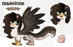 Size: 2545x1654 | Tagged: safe, artist:madelinne, imported from derpibooru, oc, oc only, oc:madelinne, griffon, adoptable, adoption, female, griffon oc, reference sheet, solo, species swap