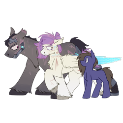 Size: 2300x2300 | Tagged: safe, artist:molars, imported from derpibooru, oc, oc only, oc:01, oc:09, earth pony, pegasus, augmented, augmented wings, cyberpunk, doodle, scar, simple background, size comparison, size difference, torn ear, transparent background, unshorn fetlocks