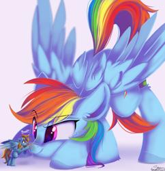 Size: 10681x11028 | Tagged: safe, artist:sketchiix3, imported from derpibooru, rainbow dash, oc, pegasus, pony, absurd file size, absurd resolution, boop, micro, tiny, tiny ponies