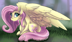 Size: 2700x1600 | Tagged: safe, artist:starcasteclipse, imported from derpibooru, fluttershy, pegasus, pony, aside glance, cheek fluff, ear fluff, female, grass, high res, large wings, looking at you, mare, open mouth, outdoors, sitting, sketch, slim, solo, spread wings, wings