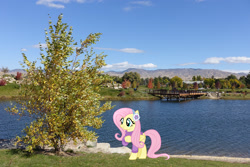 Size: 2048x1365 | Tagged: safe, artist:cloudyglow, artist:jaredking779, imported from derpibooru, fluttershy, pegasus, pony, autumn, boise, clothes, earmuffs, female, idaho, irl, mare, photo, ponies in real life, raised hoof, smiling, solo, sweater, tree, winter outfit