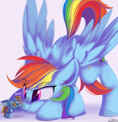 Size: 10681x11028 | Tagged: safe, artist:sketchiix3, imported from derpibooru, rainbow dash, oc, pegasus, pony, absurd file size, absurd resolution, boop, female, mare, micro, raised eyebrow, spread wings, wings