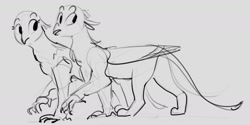 Size: 2356x1182 | Tagged: safe, artist:alumx, imported from derpibooru, oc, oc only, griffon, duo, female, gray background, grayscale, griffon oc, monochrome, simple background, sketch