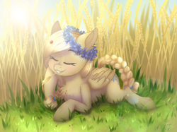 Size: 1300x970 | Tagged: safe, artist:toxiccolour, imported from derpibooru, oc, oc only, oc:cornflower meadow, insect, ladybug, pegasus, pony, blushing, chest fluff, cute, estonia, eyes closed, female, floral head wreath, flower, food, grass, grin, lying down, mare, nation ponies, ponified, prone, smiling, solo, wheat
