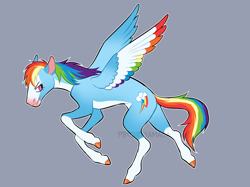 Size: 2724x2037 | Tagged: safe, artist:psychoyamada, imported from derpibooru, rainbow dash, pegasus, pony, alternate color palette, coat markings, female, gray background, simple background, smiling, socks (coat markings), solo, spread wings, wings