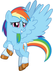 Size: 4116x5464 | Tagged: safe, artist:emeraldblast63, imported from derpibooru, rainbow dash, pegasus, pony, coat markings, female, g4, g5 style, grin, looking at you, mare, redesign, simple background, smiling, socks (coat markings), solo, transparent background, unshorn fetlocks, vector