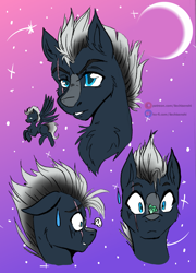 Size: 1587x2200 | Tagged: safe, artist:liechisenshi, imported from derpibooru, oc, oc only, oc:platinum shadow, butterfly, pegasus, pony, bust, butterfly on nose, expressions, eye scar, facial scar, insect on nose, portrait, scar, sketchpage, solo