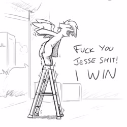 Size: 3000x3000 | Tagged: safe, artist:captainhoers, imported from derpibooru, oc, oc only, oc:light touch, pegasus, pony, bipedal, dialogue, grayscale, high res, ladder, moments before disaster, monochrome, offscreen character, open mouth, sketch, solo, this will end in pain, vulgar, wobbling