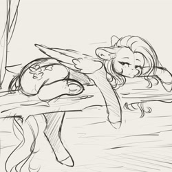 Size: 4000x4000 | Tagged: safe, artist:miokomata, imported from derpibooru, fluttershy, pegasus, pony, absurd resolution, behaving like a cat, female, freckles, freckleshy, grayscale, mare, monochrome, solo, tree branch, underhoof
