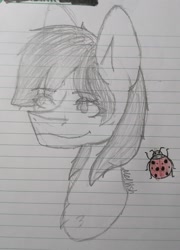 Size: 1477x2048 | Tagged: safe, artist:melody_visher, imported from derpibooru, oc, oc only, insect, ladybug, lined paper, pencil drawing, solo, traditional art