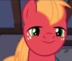 Size: 1696x1444 | Tagged: safe, imported from derpibooru, screencap, big macintosh, earth pony, pony, filli vanilli, season 4, implied fluttershy, looking at you, male, solo, stallion
