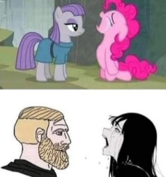 Size: 1016x1080 | Tagged: safe, edit, edited screencap, imported from derpibooru, screencap, maud pie, pinkie pie, earth pony, human, pony, beard, chad, crying, crying aya asagiri, exploitable meme, facial hair, female, kneeling, male, mare, meme, needs more jpeg, nordic gamer, yes