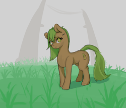 Size: 3500x3000 | Tagged: safe, artist:henko, imported from derpibooru, oc, oc only, earth pony, pony, barcode, digital art, eyelashes, female, fog, full body, grass, looking at you, mare, solo, tail