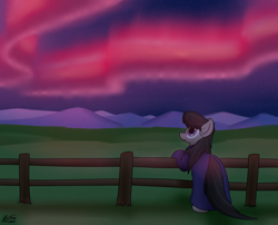 Size: 3068x2480 | Tagged: safe, artist:the-furry-railfan, imported from derpibooru, octavia melody, earth pony, pony, aurora borealis, clothes, female, fence, grass, grass field, mare, mountain, mountain range, night, robes, smiling, solo