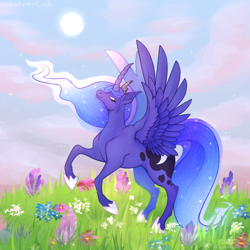 Size: 640x640 | Tagged: safe, artist:kokorokinda, imported from derpibooru, princess luna, alicorn, alternate versions at source, clothes, cloud, crown, ethereal mane, female, flower, grass, jewelry, mare, reddit, regalia, shoes, solo, solo female, sun