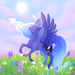Size: 640x640 | Tagged: safe, alternate version, artist:kokorokinda, imported from derpibooru, princess luna, alicorn, alternate versions at source, clothes, cloud, crown, ethereal mane, female, flower, grass, jewelry, mare, reddit, regalia, shoes, solo, solo female, sun