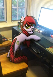 Size: 1508x2154 | Tagged: safe, artist:wingedwolf94, oc:crab apple, earth pony, pony, braid, braided tail, chair, computer, desk, ear piercing, earring, female, irl, jewelry, mare, photo, piercing, pigtails, ponies in real life, solo