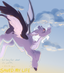 Size: 1754x2000 | Tagged: safe, artist:eggoatt, imported from twibooru, oc, oc only, unnamed oc, pony, cloud, ear piercing, earring, flying, image, jewelry, looking up, male, piercing, png, sky, stallion, text