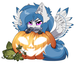 Size: 1500x1261 | Tagged: safe, alternate version, artist:arctic-fox, imported from derpibooru, part of a set, oc, oc only, oc:delta dart, hippogriff, alternate character, commission, hippogriff oc, mouth hold, pumpkin, simple background, solo, transparent background, ych result