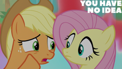 Size: 1280x720 | Tagged: safe, edit, edited screencap, editor:quoterific, imported from derpibooru, screencap, applejack, fluttershy, earth pony, pegasus, pony, sounds of silence, duo, duo female, female, frown, looking at each other, looking at someone, mare, open mouth, whispering