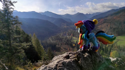 Size: 1192x670 | Tagged: safe, artist:mgrdash, imported from derpibooru, rainbow dash, clothes, endangering plushies, forest, hat, hill, irl, mountain, photo, plushie, scarf, scenery, solo, tree