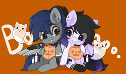 Size: 3000x1767 | Tagged: safe, artist:yomechka, imported from derpibooru, oc, oc only, ghost, pegasus, pony, undead, chibi, clothes, commission, duo, eye clipping through hair, pegasus oc, pumpkin bucket, sitting, smiling, socks, ych result