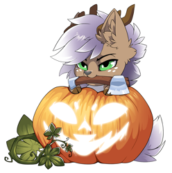 Size: 1500x1511 | Tagged: safe, alternate version, artist:arctic-fox, imported from derpibooru, part of a set, oc, oc only, deer, pony, alternate character, commission, deer oc, mouth hold, non-pony oc, pumpkin, simple background, solo, transparent background, ych result