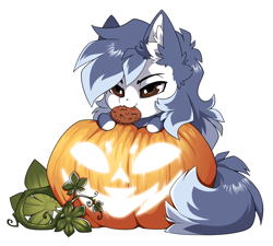 Size: 1500x1351 | Tagged: safe, alternate version, artist:arctic-fox, imported from derpibooru, part of a set, oc, oc only, oc:ash wing, earth pony, pony, alternate character, commission, cookie, food, mouth hold, pumpkin, simple background, solo, transparent background, ych result
