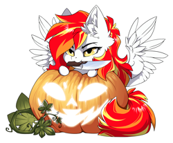 Size: 1500x1239 | Tagged: safe, alternate version, artist:arctic-fox, imported from derpibooru, part of a set, oc, oc only, oc:diamond sun, pegasus, pony, alternate character, commission, knife, mouth hold, pumpkin, simple background, solo, transparent background, ych result